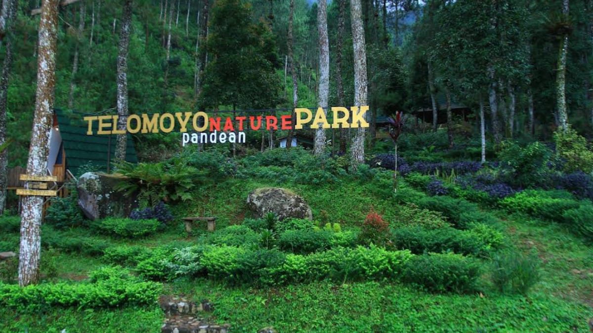 Telomoyo Nature Park: Pesona Alam Menakjubkan di Jawa Tengah